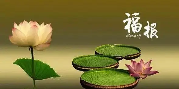流產的孩子怎么化解，怨念消除才能夠安心-音狐運勢網
