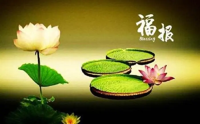 很多年之前流產(chǎn)的嬰兒，通過(guò)超度能化解嗎？超度墮胎嬰兒有用嗎？-音狐運(yùn)勢(shì)網(wǎng)