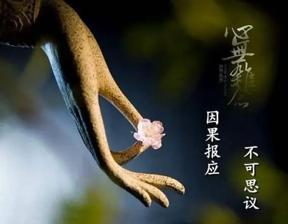 怎么化解墮胎嬰兒怨氣-音狐運勢網