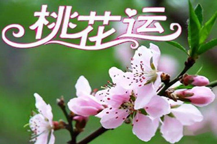 “桃花運(yùn)”：幾人歡喜？幾人憂愁？-音狐運(yùn)勢(shì)網(wǎng)