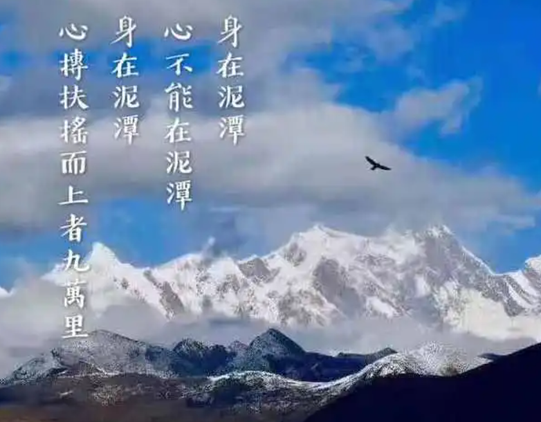 普陀山可以超度嬰靈嗎-音狐運勢網