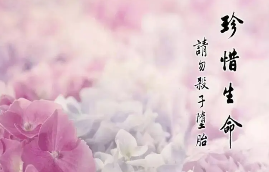 墮胎后對爸爸的果報-音狐運勢網