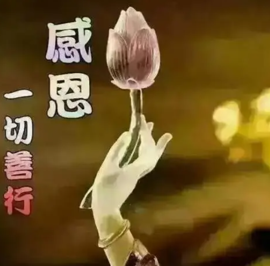 超度后的靈嬰會跟著道教嗎-音狐運勢網
